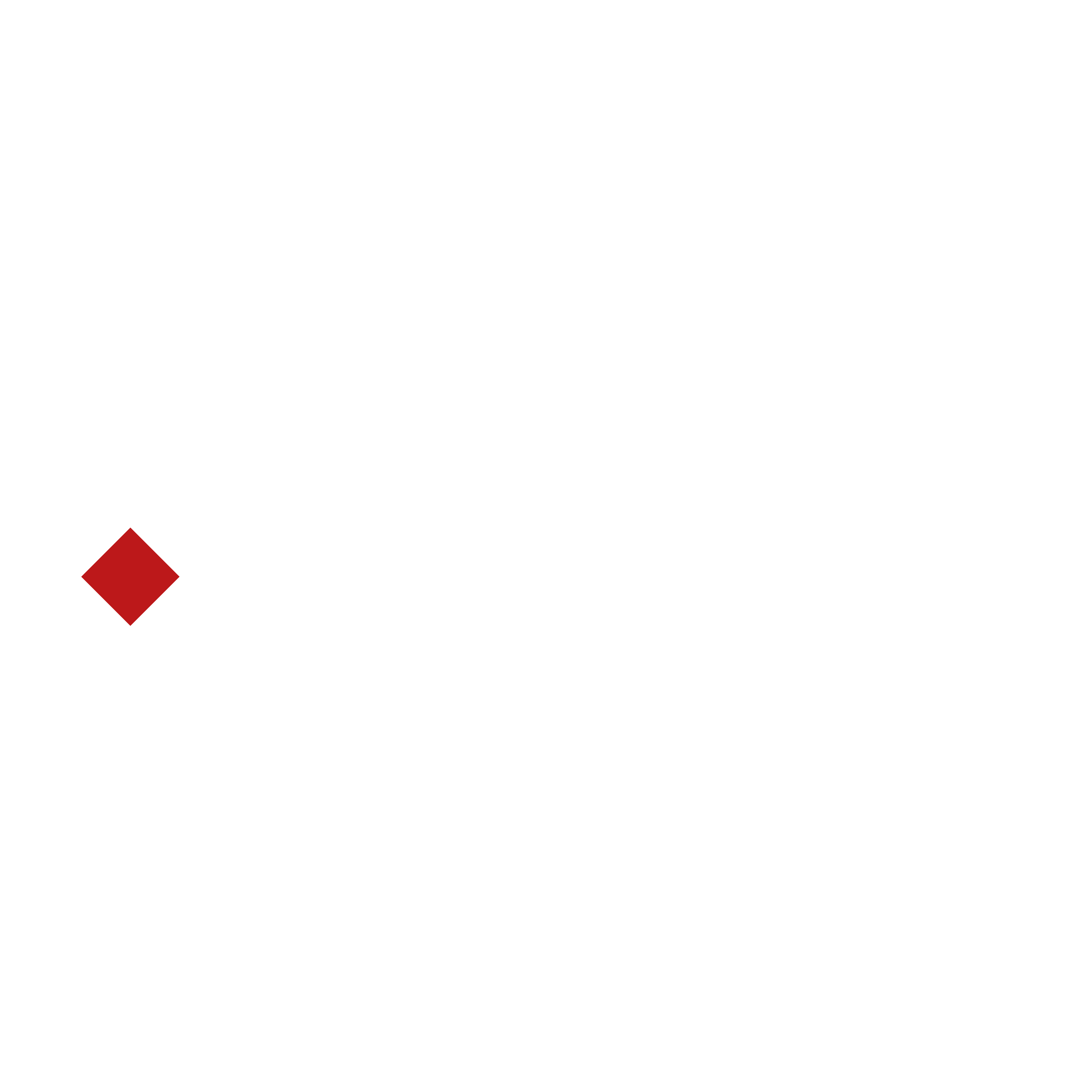 IDS - Instant Digital Solutions